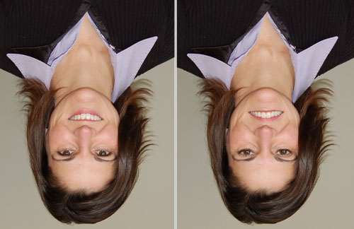 optical illusion face upside down